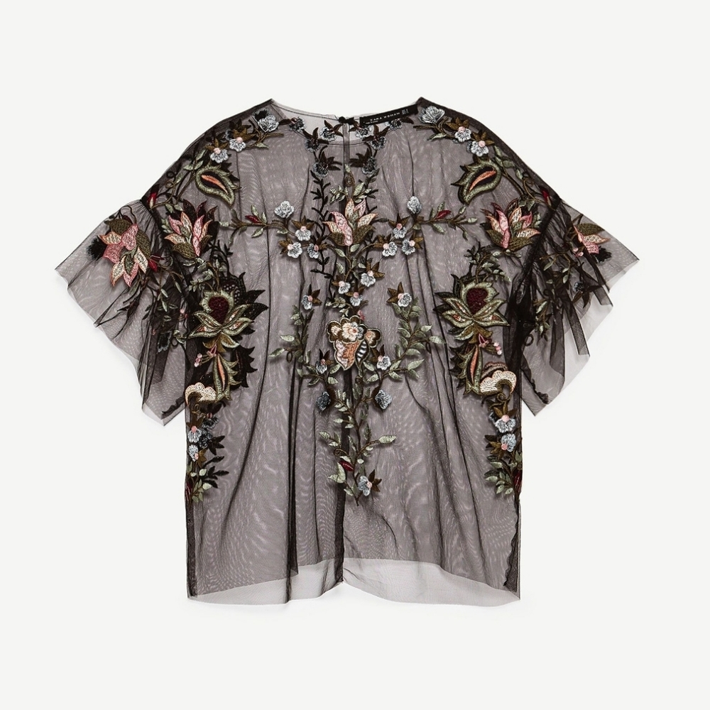 Embroidered sheer transparent top